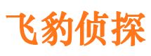 鄱阳市私家侦探